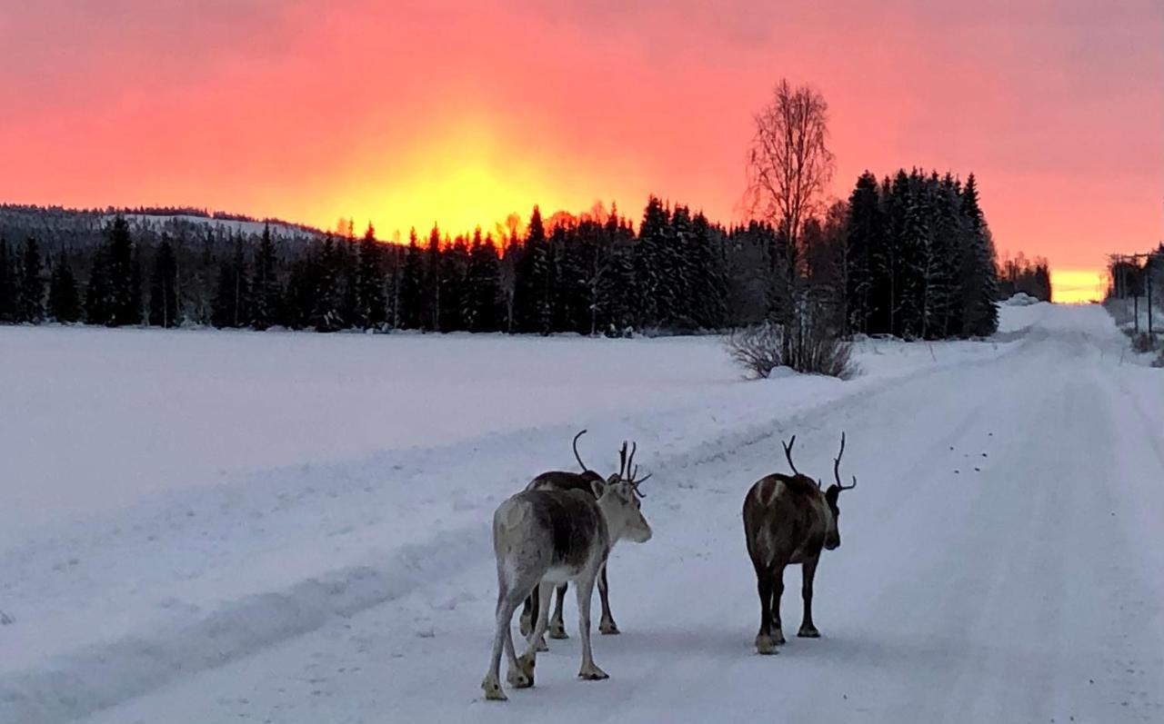 Kaetkae Lake Lodge Тервола Экстерьер фото