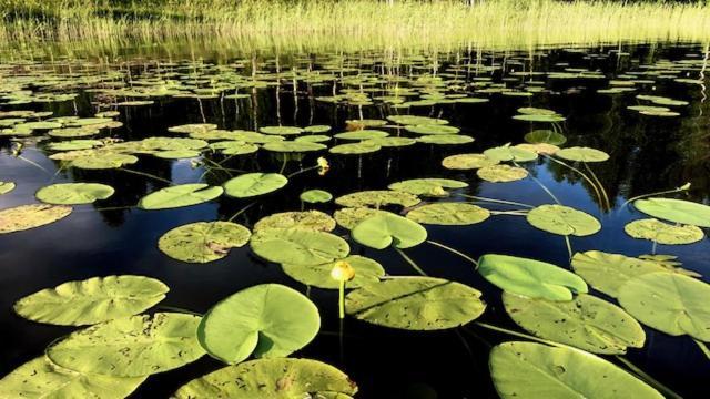 Kaetkae Lake Lodge Тервола Экстерьер фото